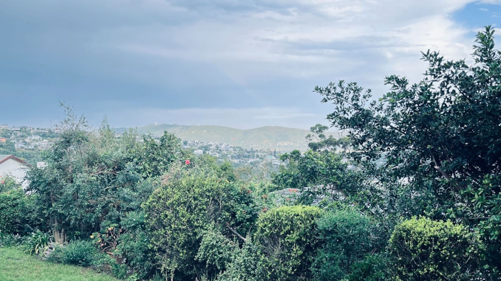 House to rent in Eastford Glen - 1KG1744091