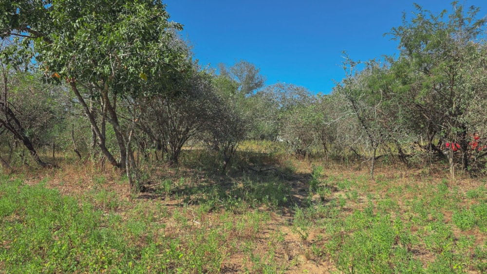 Vacant land for sale in Marloth Park - 1NK1744498