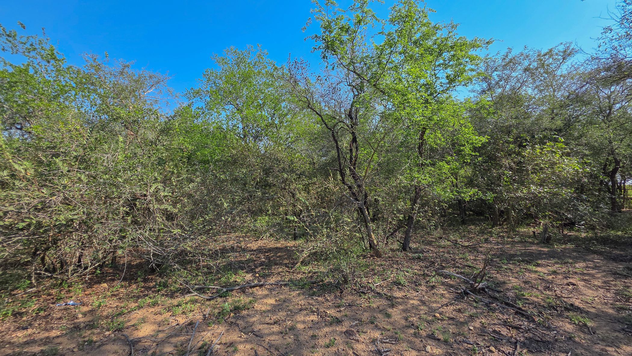 Vacant land for sale in Marloth Park - 1NK1741649