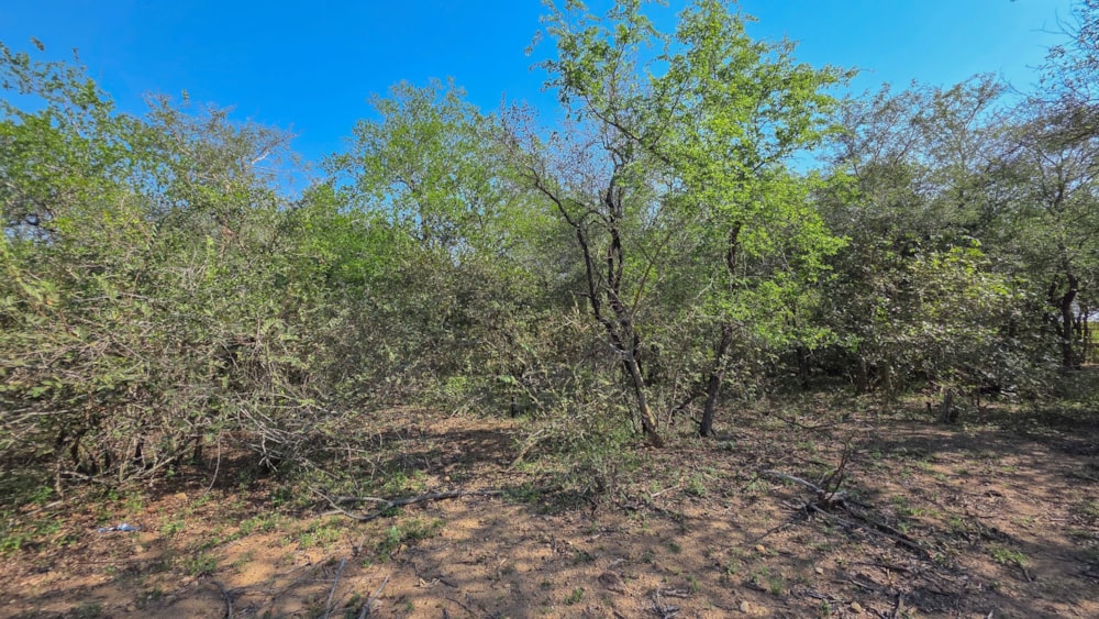 Vacant land for sale in Marloth Park - 1NK1741649