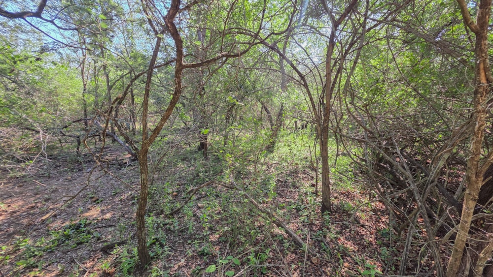 Vacant land for sale in Marloth Park - 1NK1741649