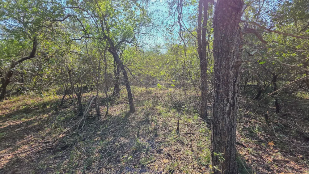 Vacant land for sale in Marloth Park - 1NK1741649