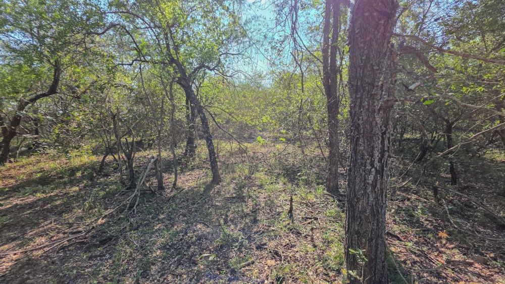 Vacant land for sale in Marloth Park - 1NK1741649