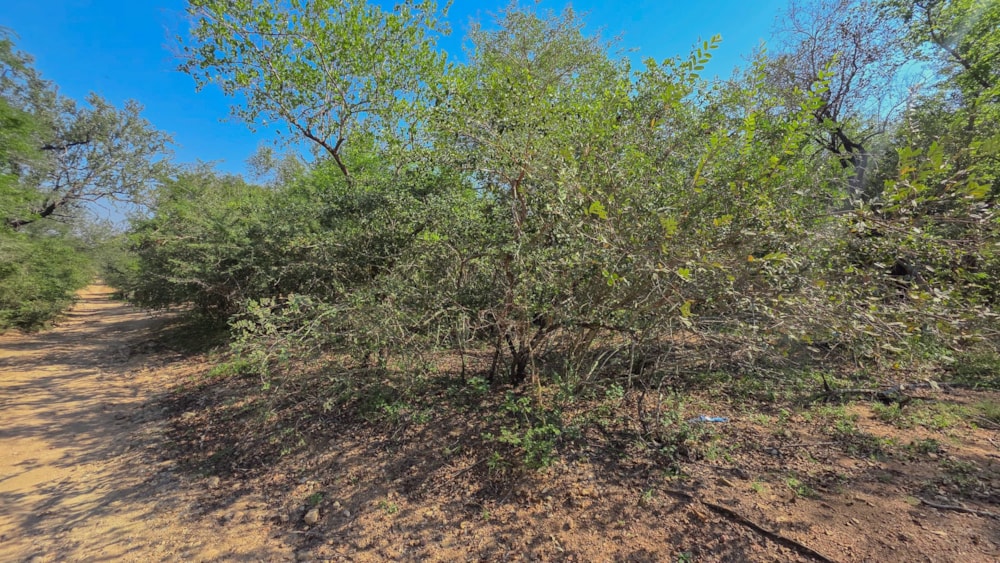 Vacant land for sale in Marloth Park - 1NK1741649