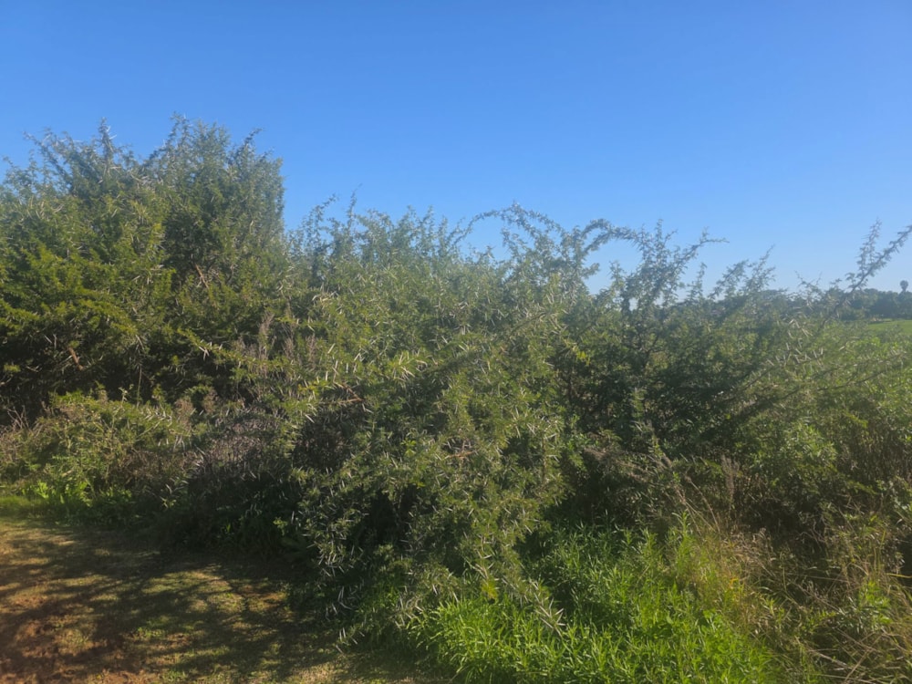 Vacant land for sale in Strelitzia Park - 1UK1743106 Vacant land for sale in Strelitzia Park - 1UK1743106