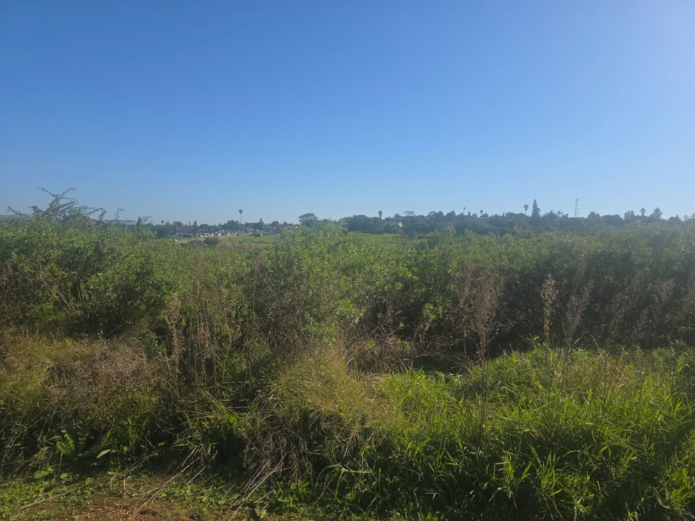 Vacant land for sale in Strelitzia Park - 1UK1743106 Vacant land for sale in Strelitzia Park - 1UK1743106