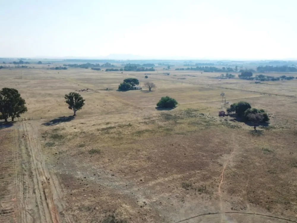 Smallholding for sale in Bloemdal - 1BX1744492 Smallholding for sale in Bloemdal - 1BX1744492