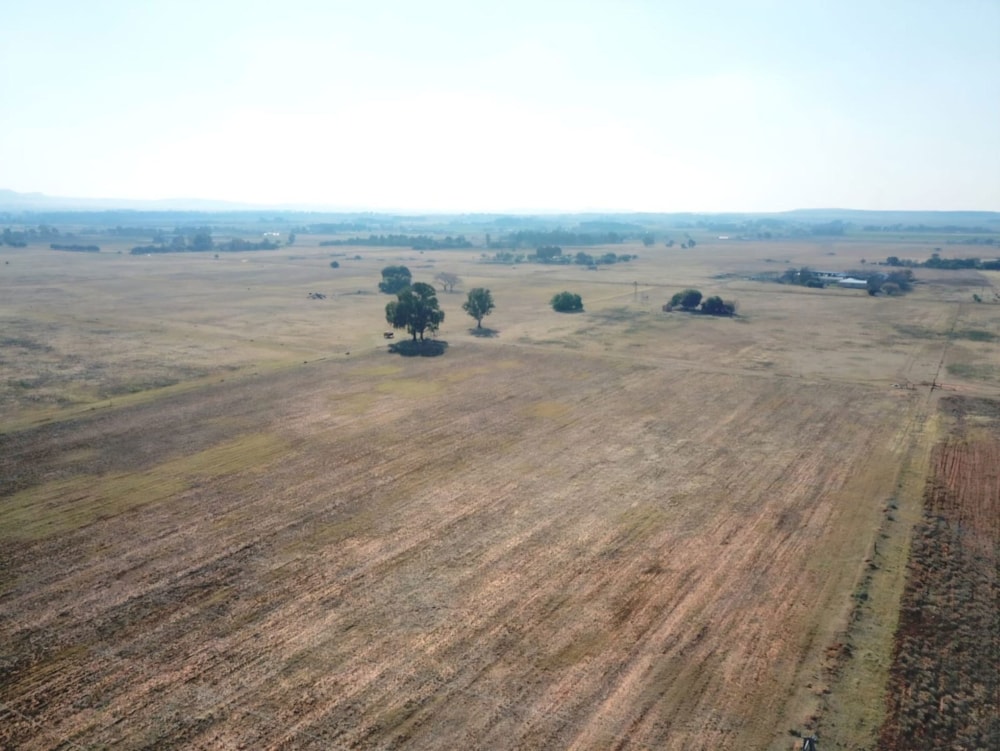 Smallholding for sale in Bloemdal - 1BX1744492 Smallholding for sale in Bloemdal - 1BX1744492