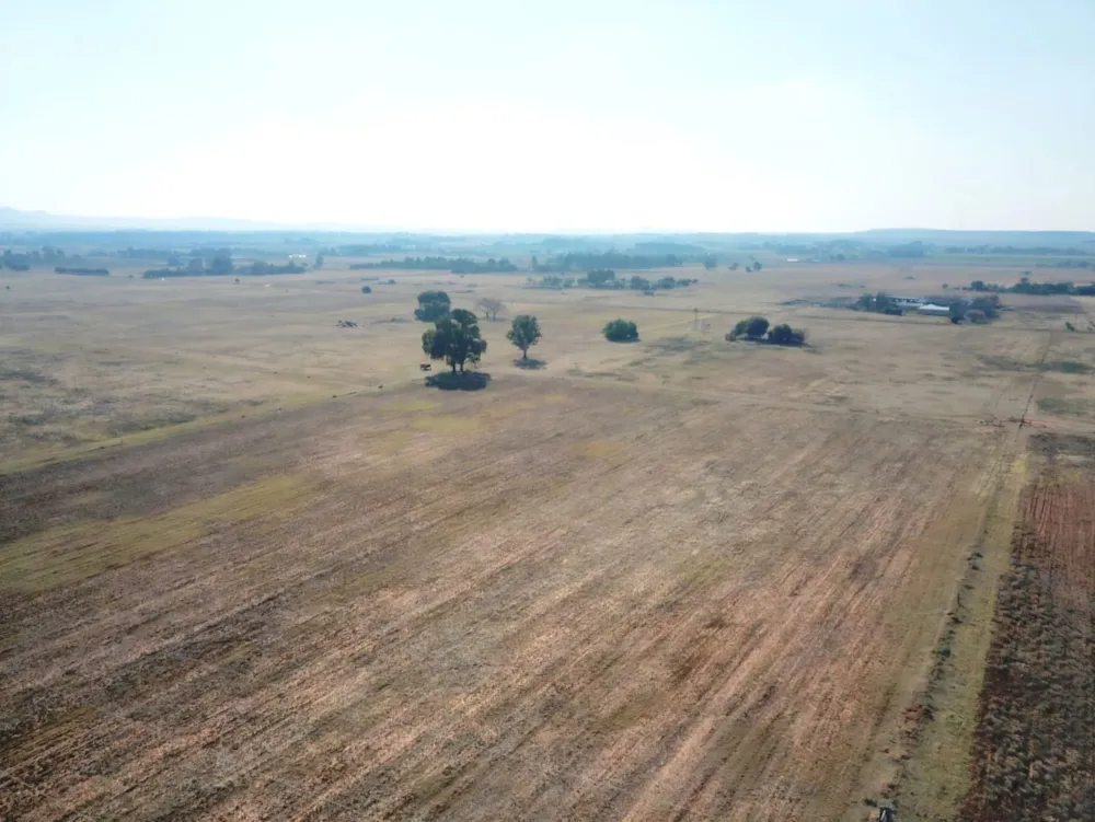 Smallholding for sale in Bloemdal - 1BX1744492 Smallholding for sale in Bloemdal - 1BX1744492