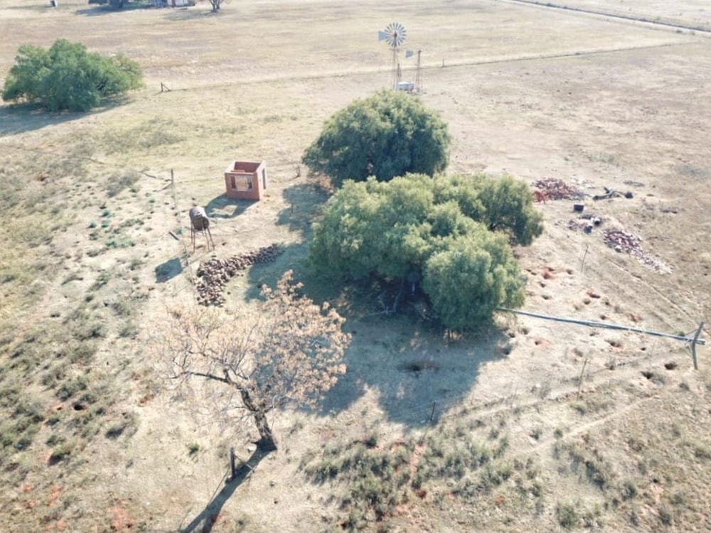 Smallholding for sale in Bloemdal - 1BX1744492 Smallholding for sale in Bloemdal - 1BX1744492