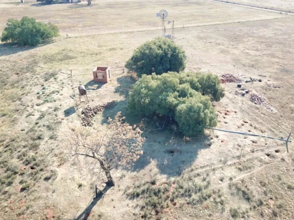 Smallholding for sale in Bloemdal - 1BX1744492 Smallholding for sale in Bloemdal - 1BX1744492