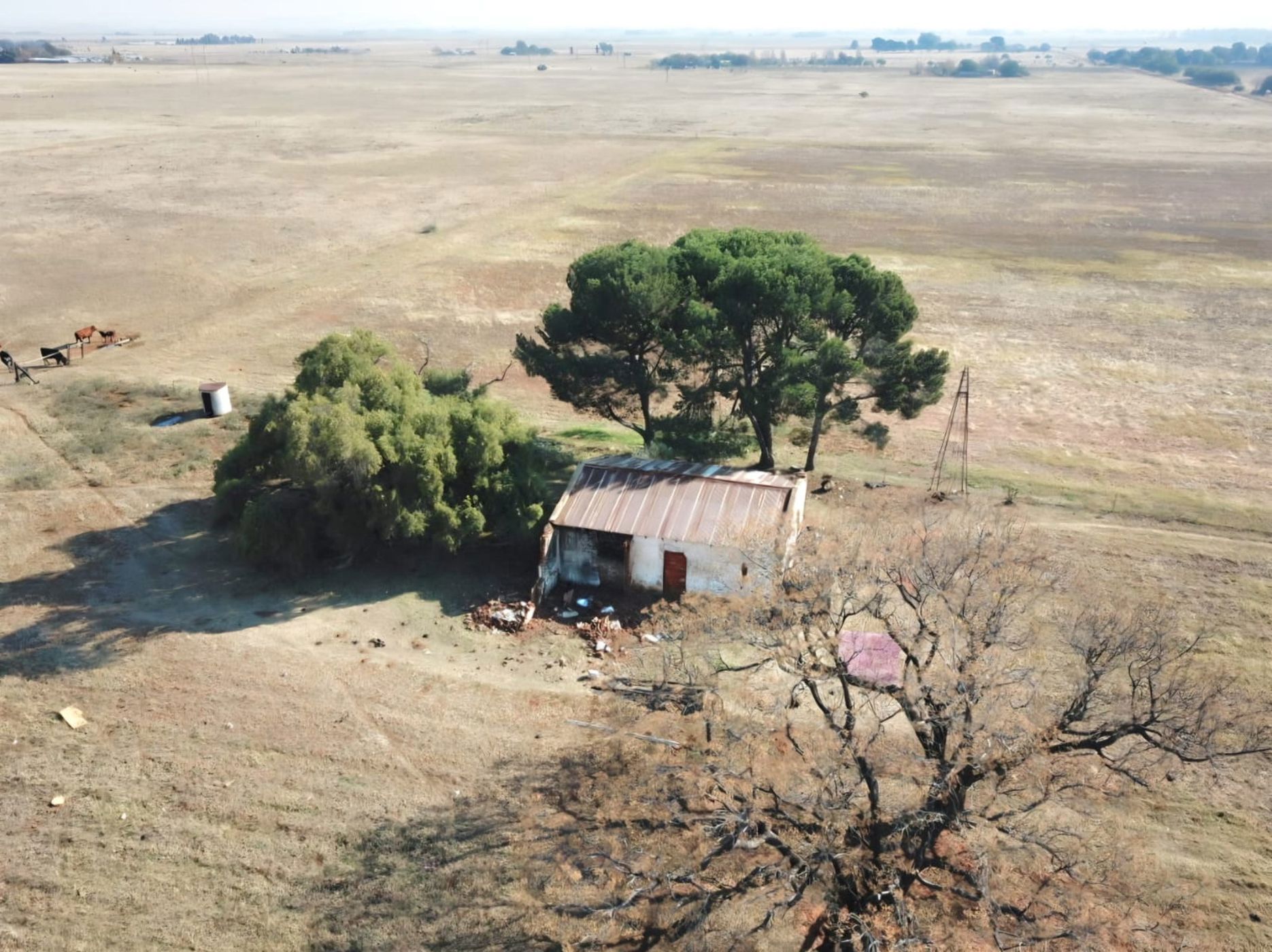 Smallholding for sale in Bloemdal - 1BX1744492