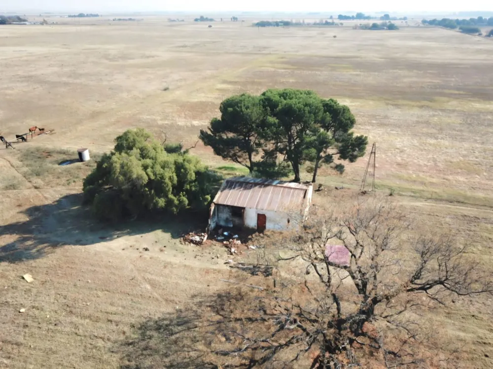 Smallholding for sale in Bloemdal - 1BX1744492 Smallholding for sale in Bloemdal - 1BX1744492