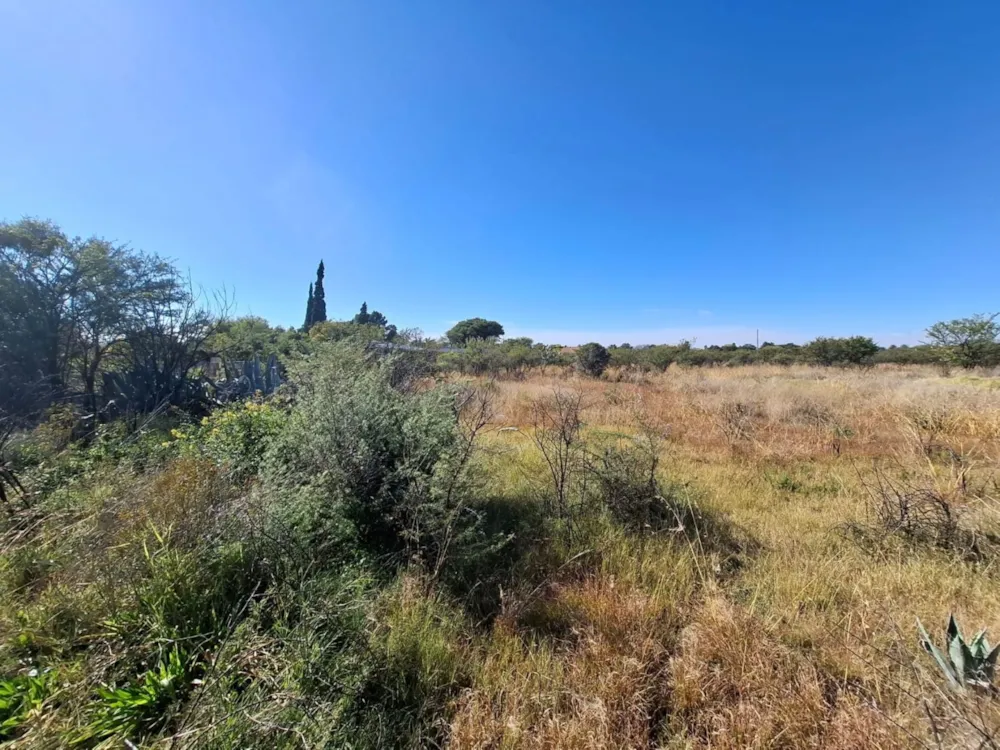 Residential vacant land for sale in Riebeeckstad, Free State - 1WM1742589
