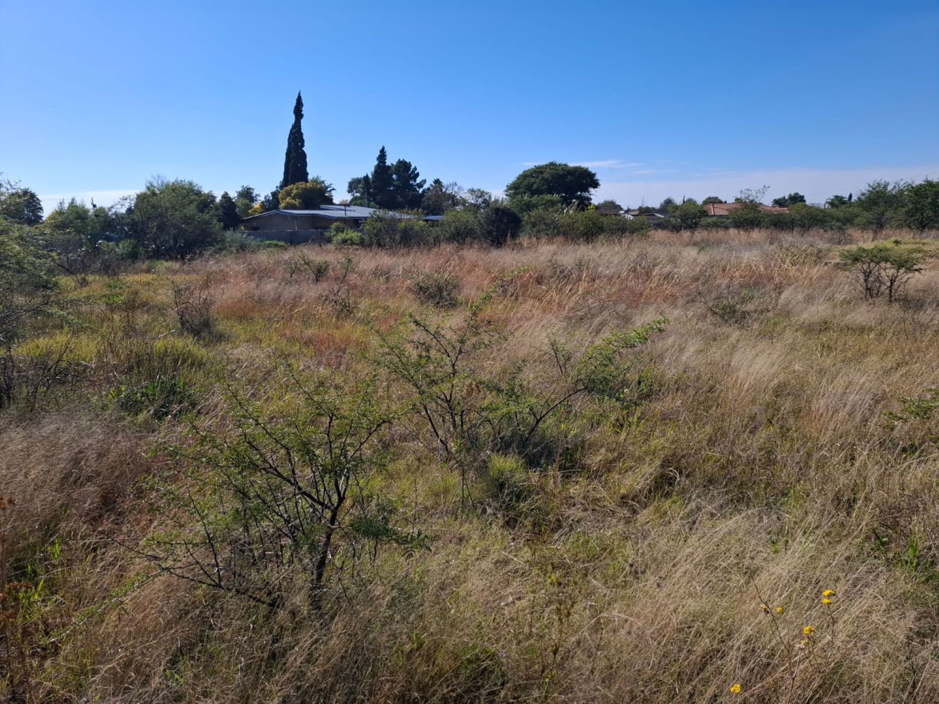 Residential vacant land for sale in Riebeeckstad, Free State - 1WM1742589