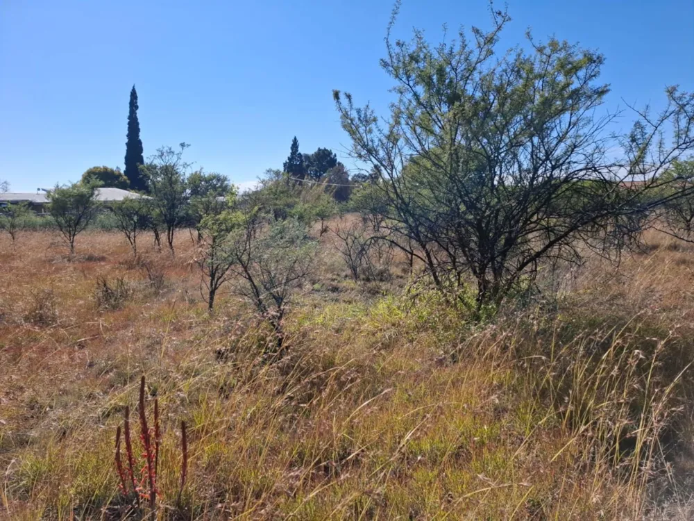Residential vacant land for sale in Riebeeckstad, Free State - 1WM1742589