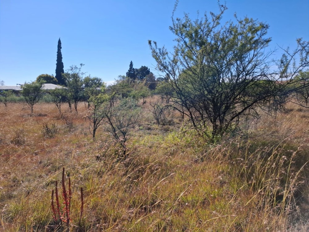 Residential vacant land for sale in Riebeeckstad, Free State - 1WM1742589 Residential vacant land for sale in Riebeeckstad, Free State - 1WM1742589