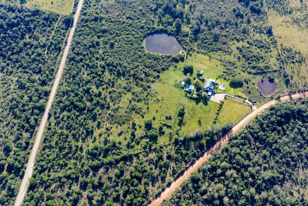 Smallholding for sale in Bathurst - 1PF1745501 Smallholding for sale in Bathurst - 1PF1745501