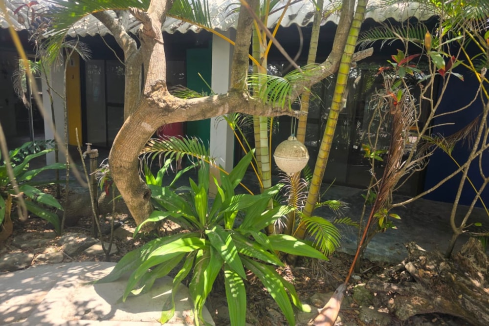 Beachfront villa for sale in Xai Xai, Xai Xai, Mozambique - 3MQ1722514