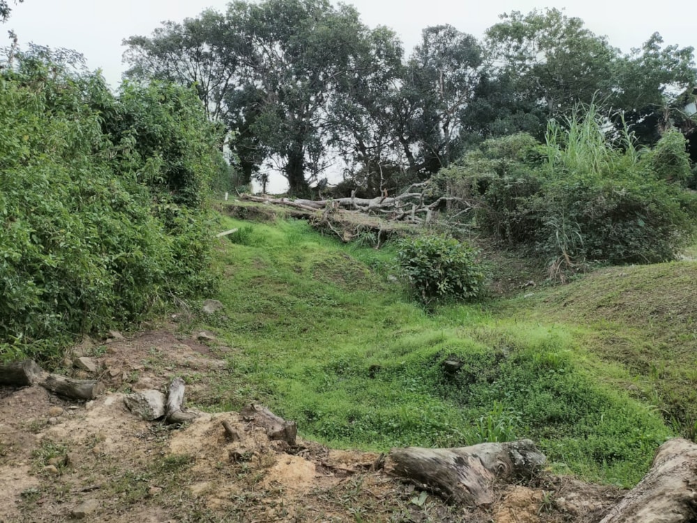 Residential vacant land for sale in Margate - 1PSH1742559