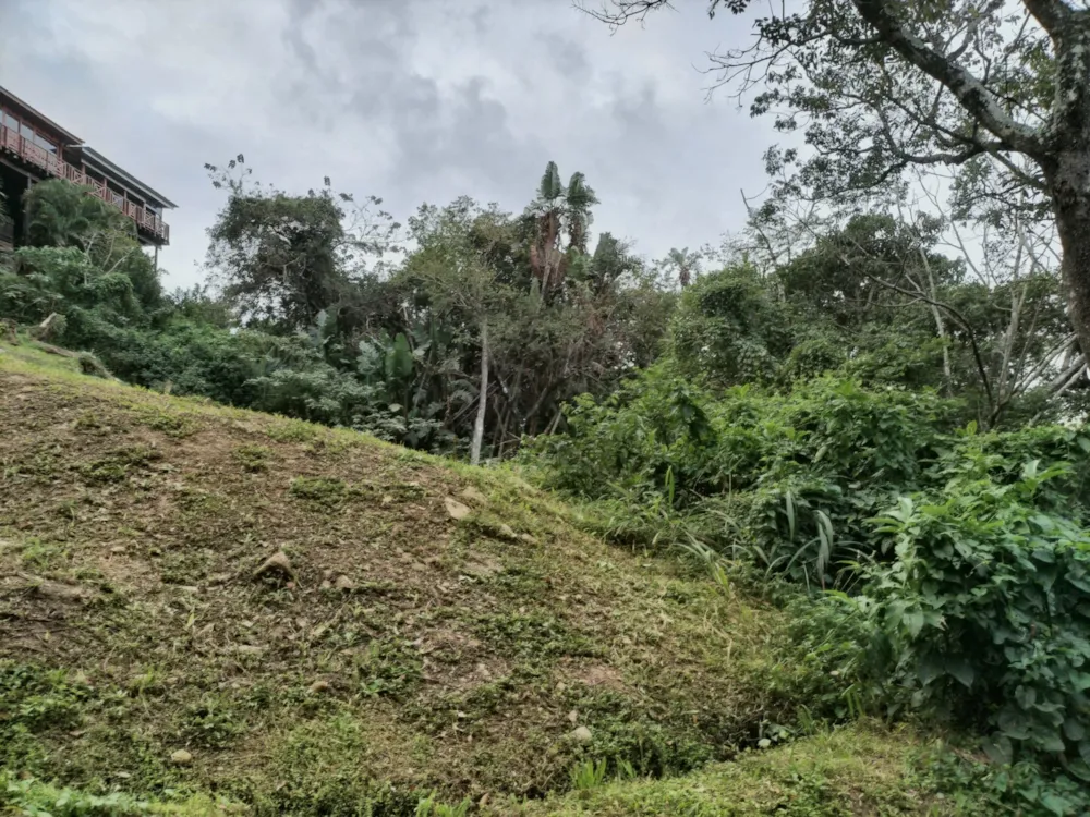 Residential vacant land for sale in Margate - 1PSH1742559 Residential vacant land for sale in Margate - 1PSH1742559