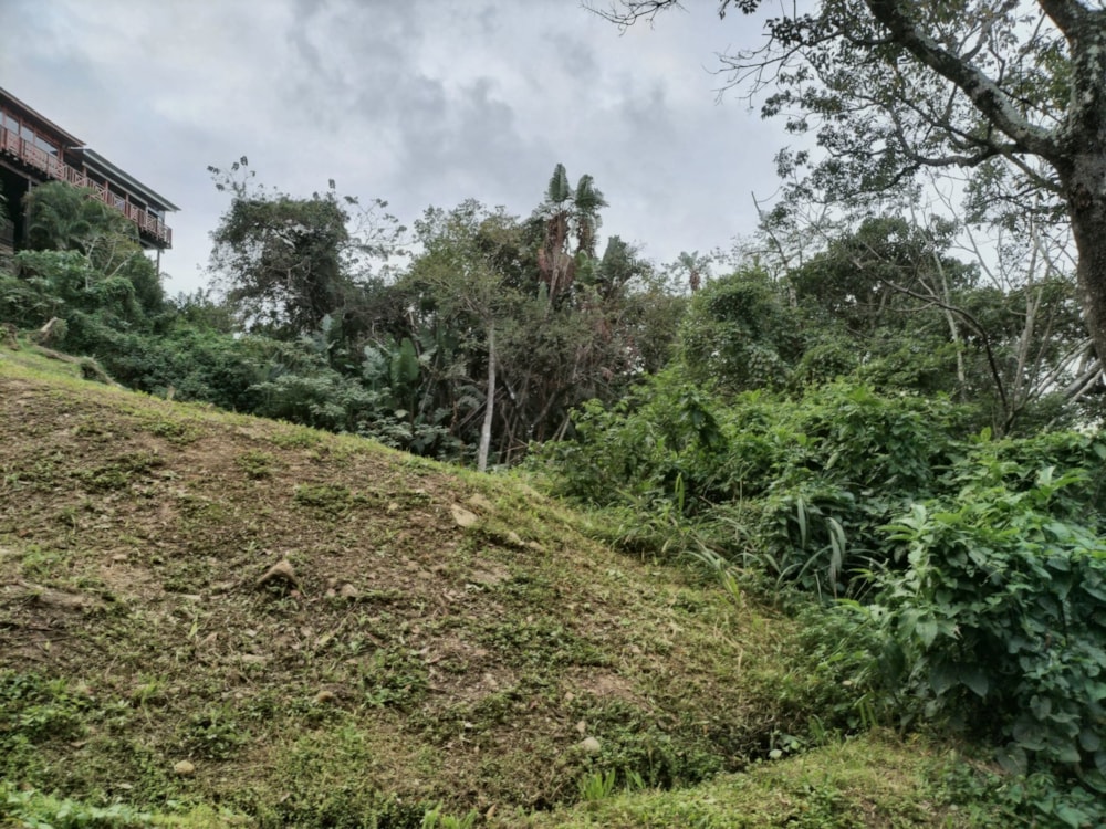 Residential vacant land for sale in Margate - 1PSH1742559