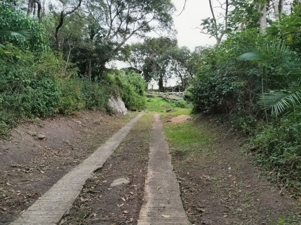 Residential vacant land for sale in Margate - 1PSH1742559