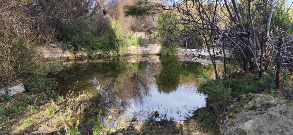 Livestock farm for sale in Griekwastad, Northern Cape - 1KJ1736261