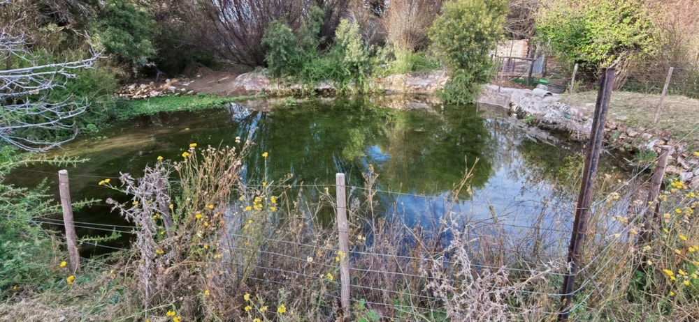 Livestock farm for sale in Griekwastad, Northern Cape - 1KJ1736261