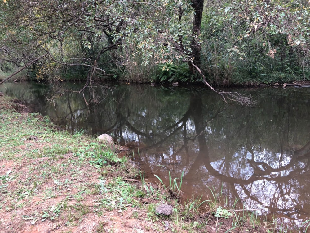 Mixed use farm for sale in Mbombela Rural (Nelspruit Rural) - 1NS1742860 Mixed use farm for sale in Mbombela Rural (Nelspruit Rural) - 1NS1742860
