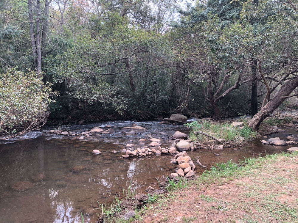 Mixed use farm for sale in Mbombela Rural (Nelspruit Rural) - 1NS1742860 Mixed use farm for sale in Mbombela Rural (Nelspruit Rural) - 1NS1742860