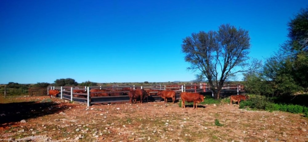 Livestock farm for sale in Douglas Rural - 1KJ1738915