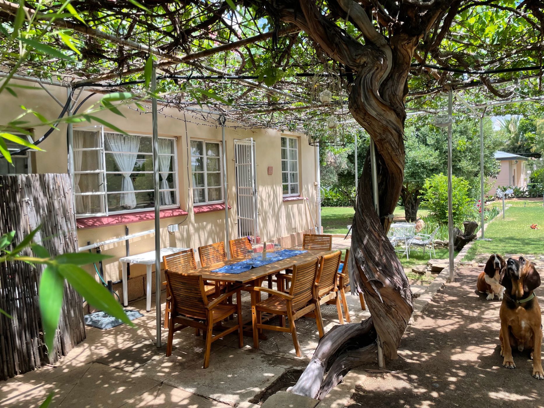 House for sale in Bethulie - 1KK1741766