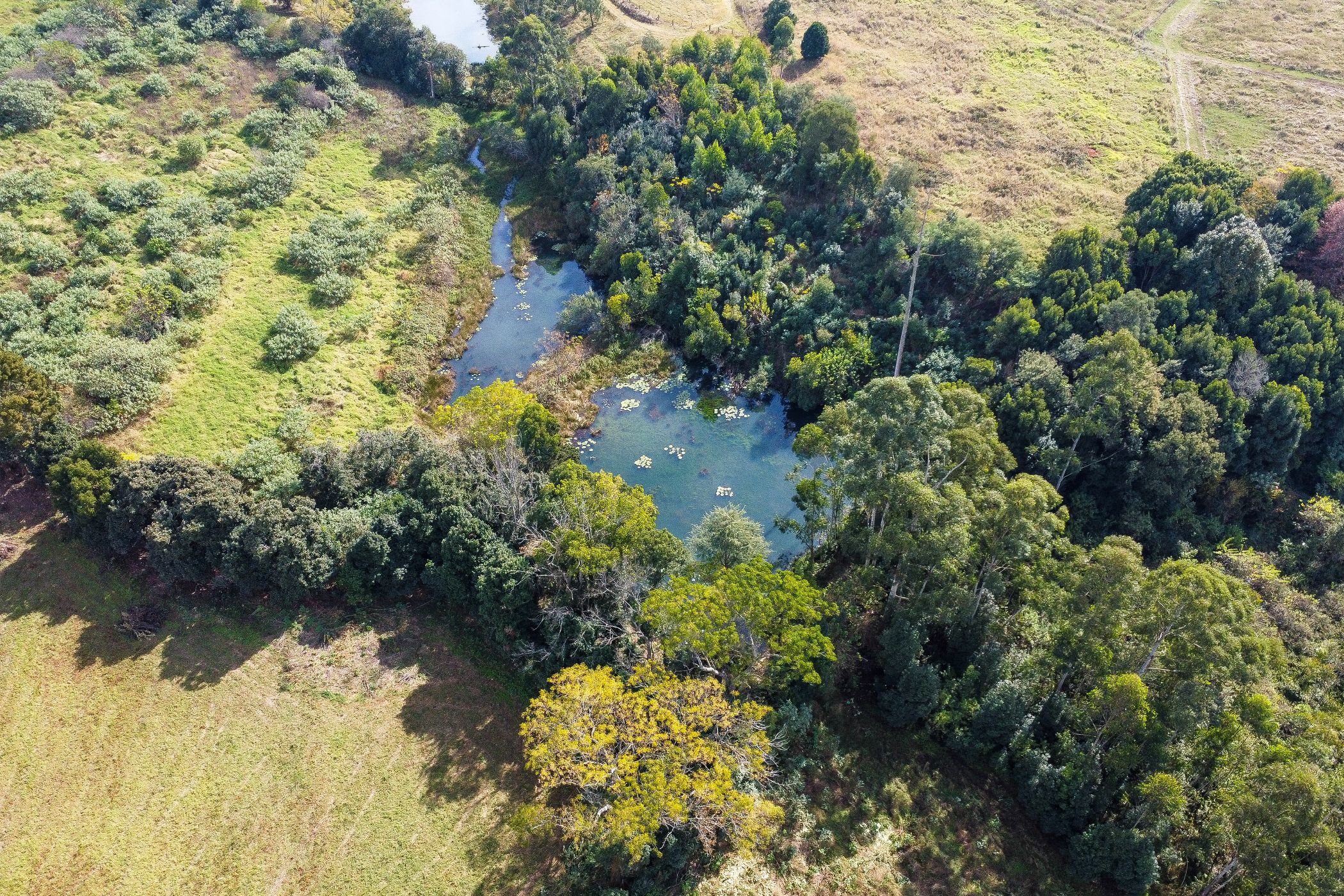 Smallholding for sale in Richmond, Midlands, Rural - 1PM1740565
