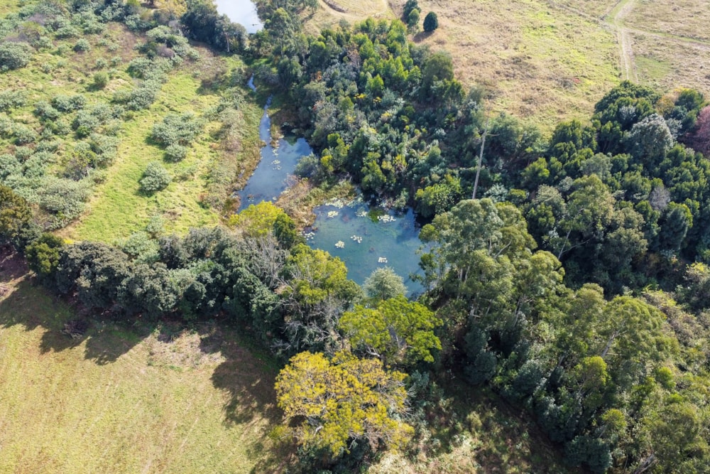 Smallholding for sale in Richmond, Midlands, Rural - 1PM1740565