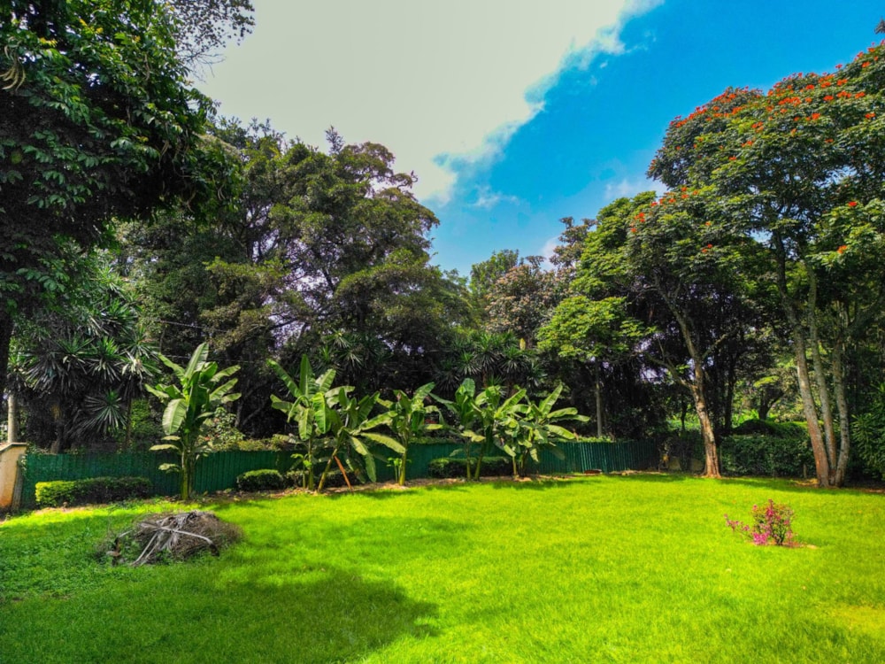 Residential vacant land for sale in Karen, Kenya - 3KE1739410 Residential vacant land for sale in Karen, Kenya - 3KE1739410