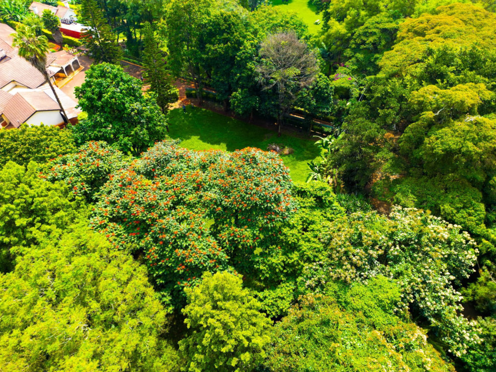 Residential vacant land for sale in Karen, Kenya - 3KE1739410 Residential vacant land for sale in Karen, Kenya - 3KE1739410
