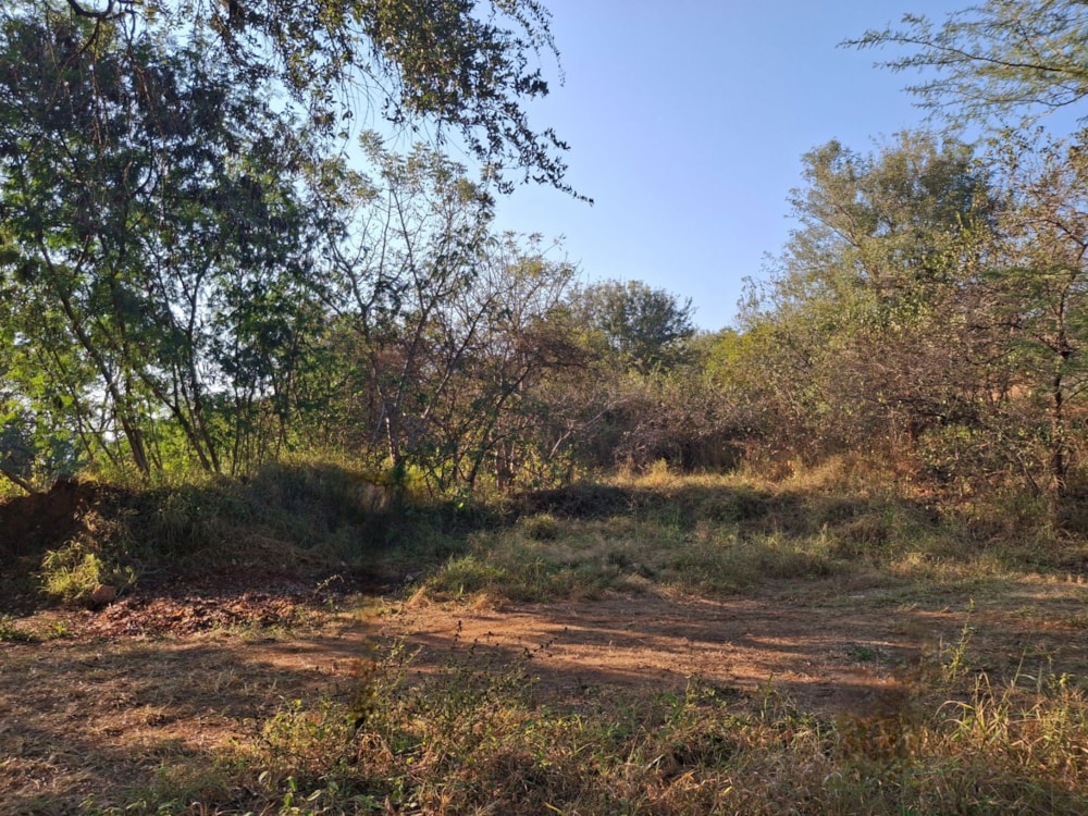 Residential vacant land for sale in Letsitele - 1TA1740639 Residential vacant land for sale in Letsitele - 1TA1740639