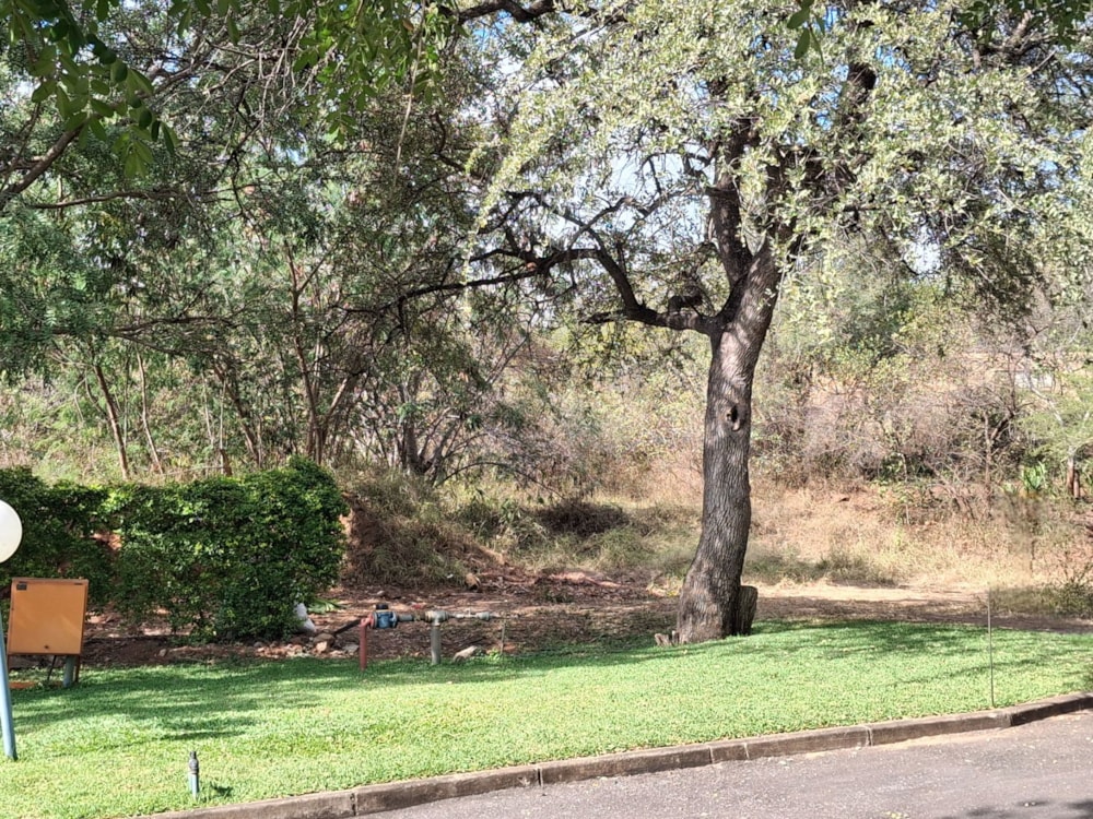 Residential vacant land for sale in Letsitele - 1TA1740639