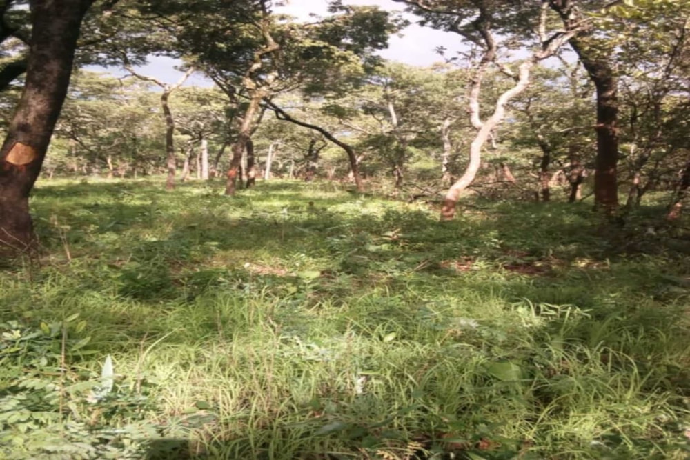 Vacant land for sale in Solwezi, Zambia - 3ZA1741025 Vacant land for sale in Solwezi, Zambia - 3ZA1741025