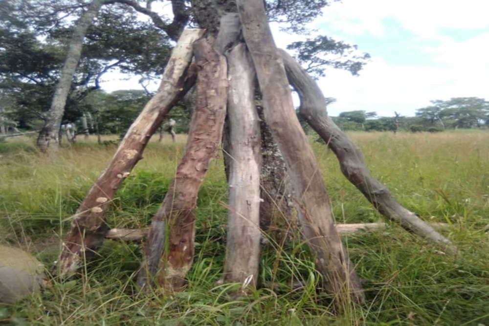 Vacant land for sale in Solwezi, Zambia - 3ZA1741025