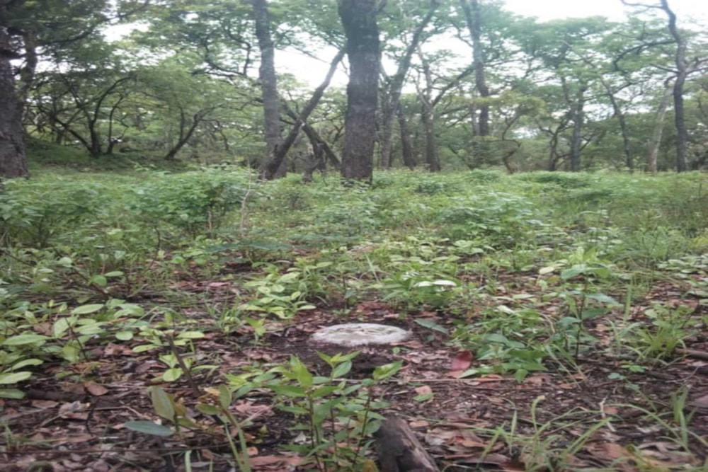 Vacant land for sale in Solwezi, Zambia - 3ZA1741025 Vacant land for sale in Solwezi, Zambia - 3ZA1741025