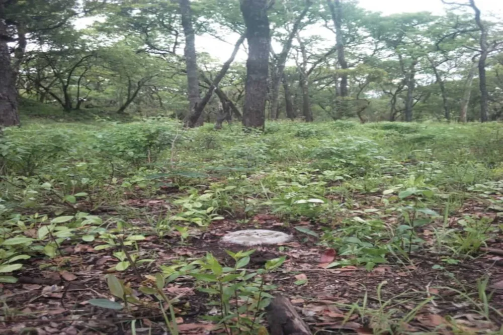 Vacant land for sale in Solwezi, Zambia - 3ZA1741025 Vacant land for sale in Solwezi, Zambia - 3ZA1741025