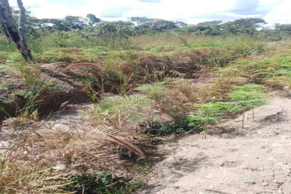 Vacant land for sale in Solwezi, Zambia - 3ZA1741025 Vacant land for sale in Solwezi, Zambia - 3ZA1741025