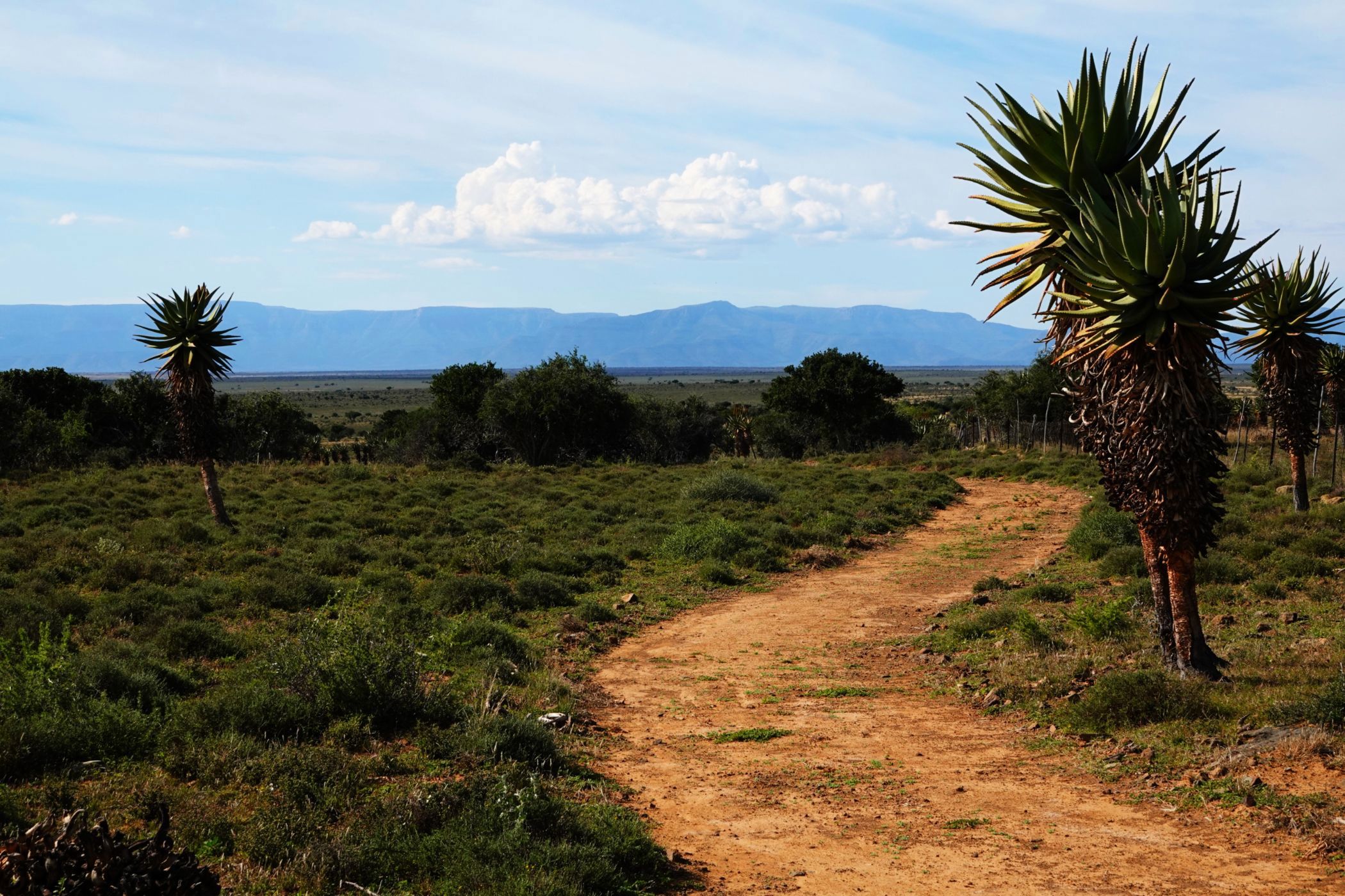Mixed use farm for sale in Graaff-Reinet Rural - 1KK1741569