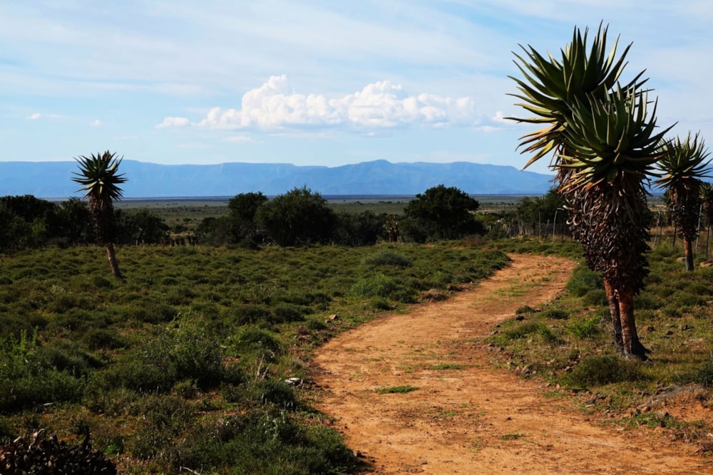 Mixed use farm for sale in Graaff-Reinet Rural - 1KK1741569