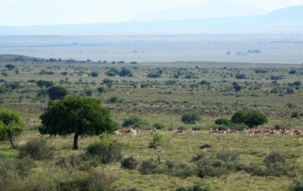 Mixed use farm for sale in Graaff-Reinet Rural - 1KK1741569