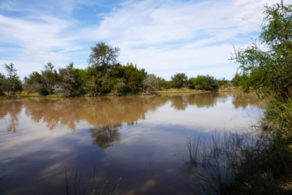 Mixed use farm for sale in Graaff-Reinet Rural - 1KK1741569