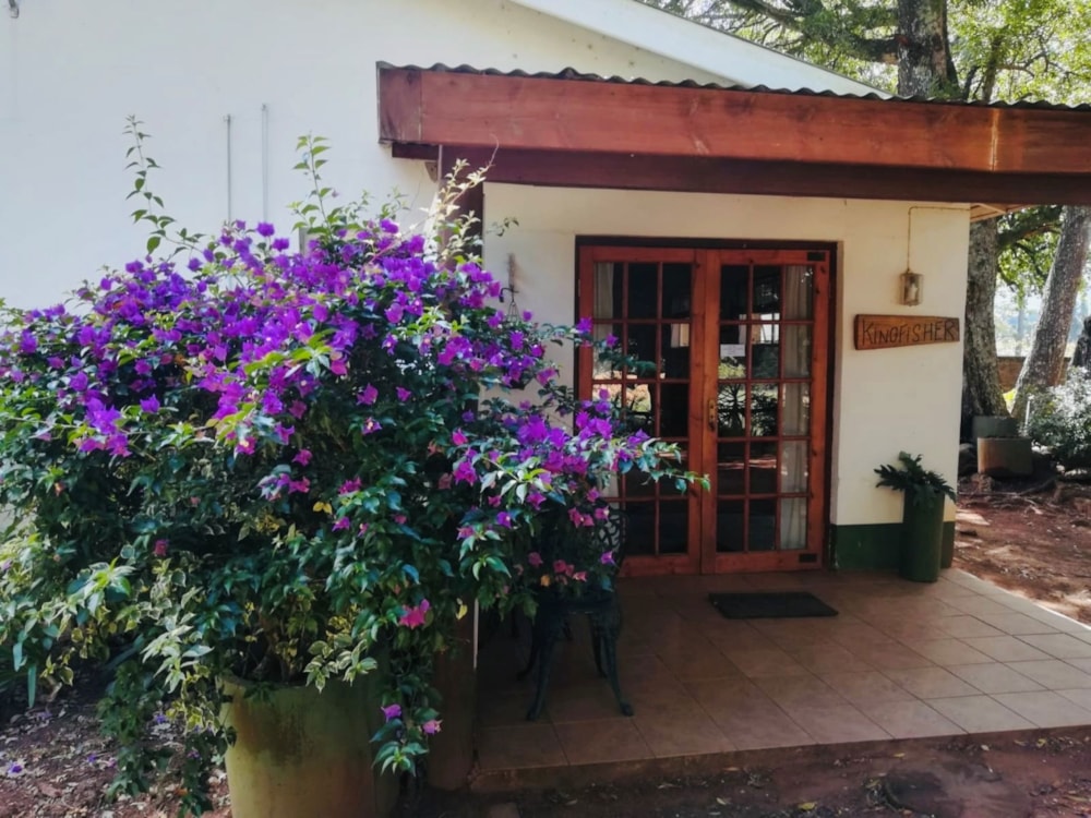 Mixed use farm for sale in Stutterheim - 1MH1741810