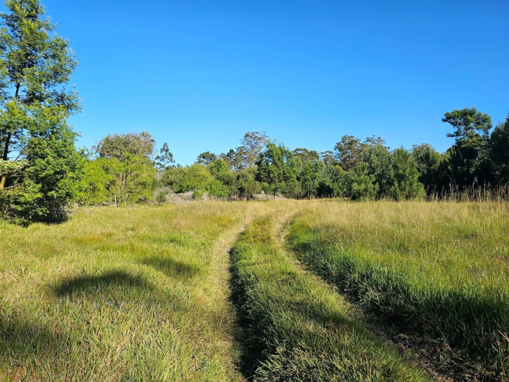 Smallholding for sale in Theescombe - 1PLZ1742448